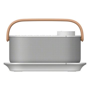 Sony SRSLSR200CE7 Wireless Bluetooth Speaker