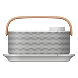 Sony SRSLSR200CE7 Wireless Bluetooth Speaker